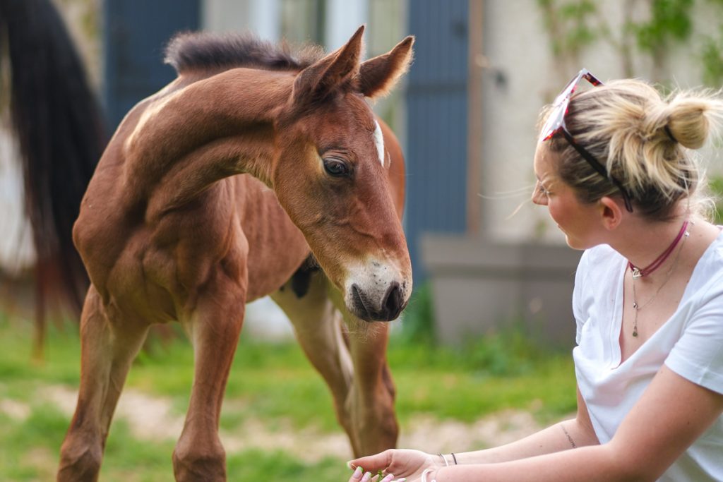 Une jeune fille et son poulain en séance photo à Fontenilles